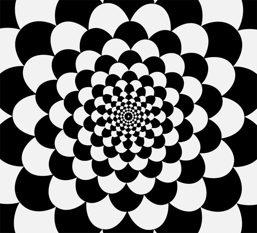 FlowerMotionWeb